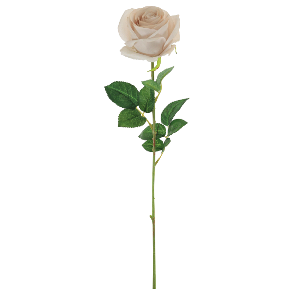 Silk Harper Rose Nude 62x8 cm