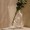 مزهرية فورمليس شفافة 17×9.5×25.5 سم