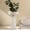 مزهرية زجاجة شادي بيضاء 16.6×16.6×27 سم