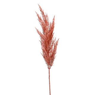 نبات بامباس عشب زهري 92 سم