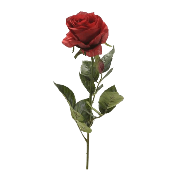 غصن وردة روز سيمون - أحمر 