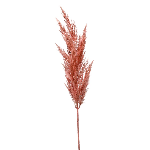 نبات بامباس عشب زهري 92 سم